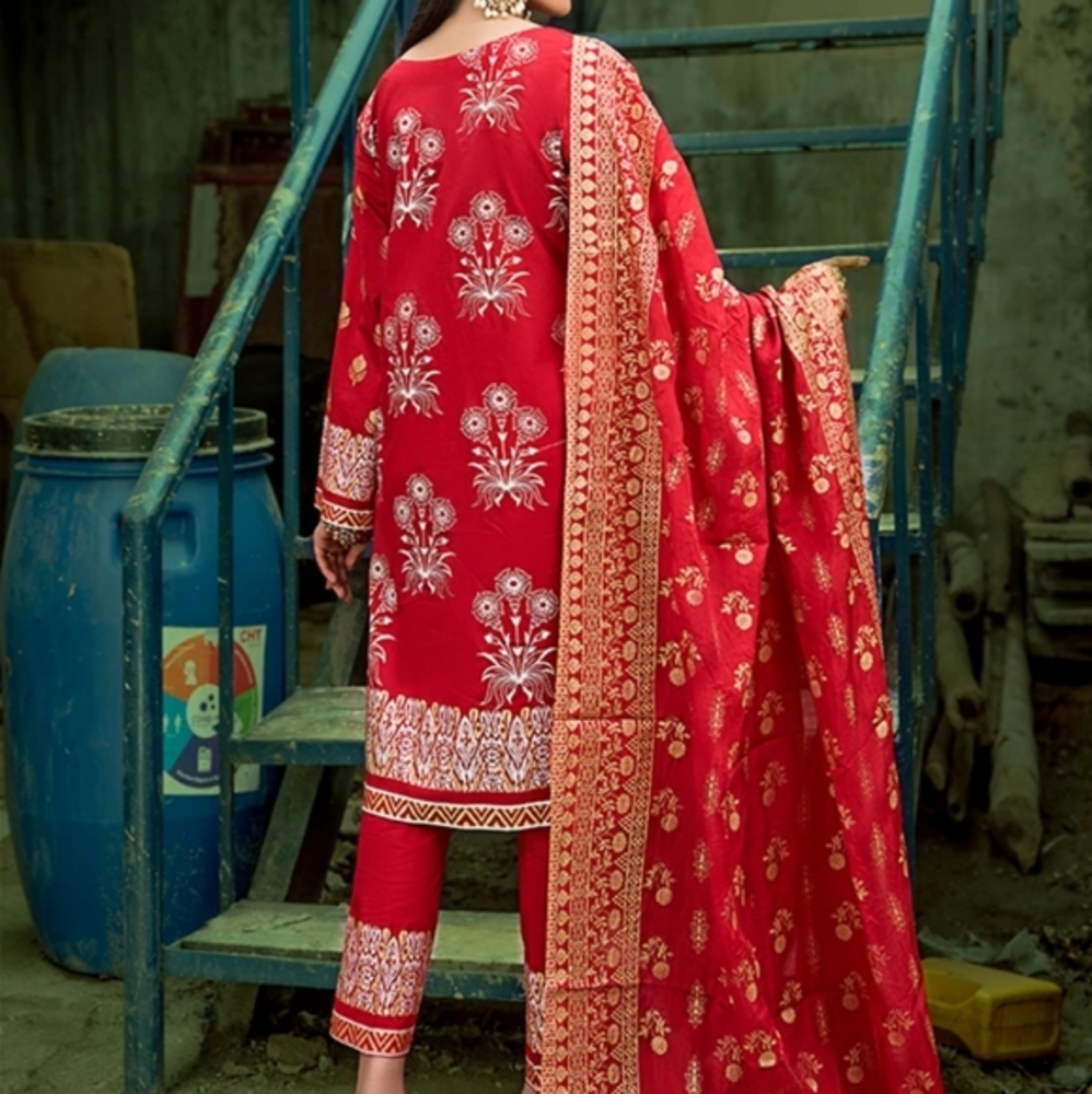 Pakistani 1 piece screen print kameez/Kurta FINAL PRICE - Picture 3 of 9